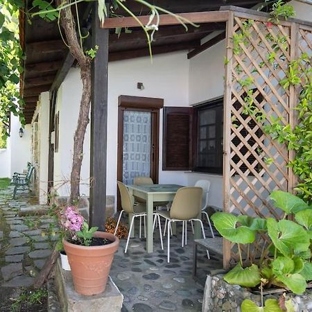 Traditionelles Appartement Athos Shadow Am Meer Paralia Sikias Exteriér fotografie