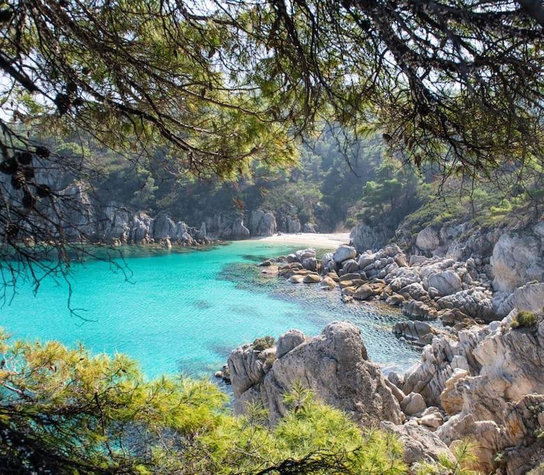 Traditionelles Appartement Athos Shadow Am Meer Paralia Sikias Exteriér fotografie