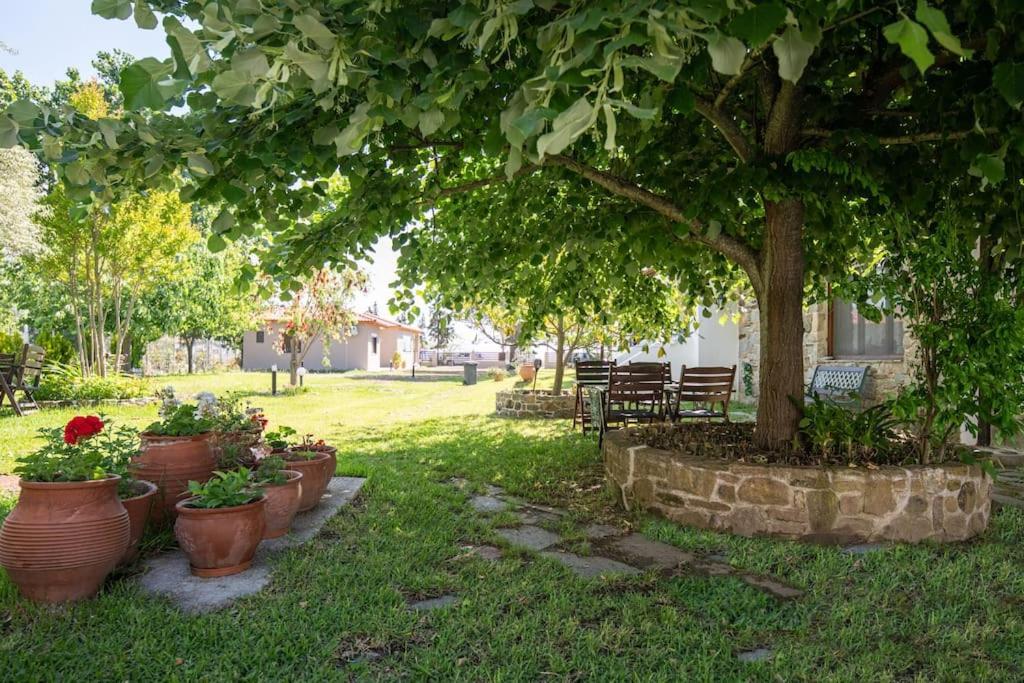 Traditionelles Appartement Athos Shadow Am Meer Paralia Sikias Exteriér fotografie