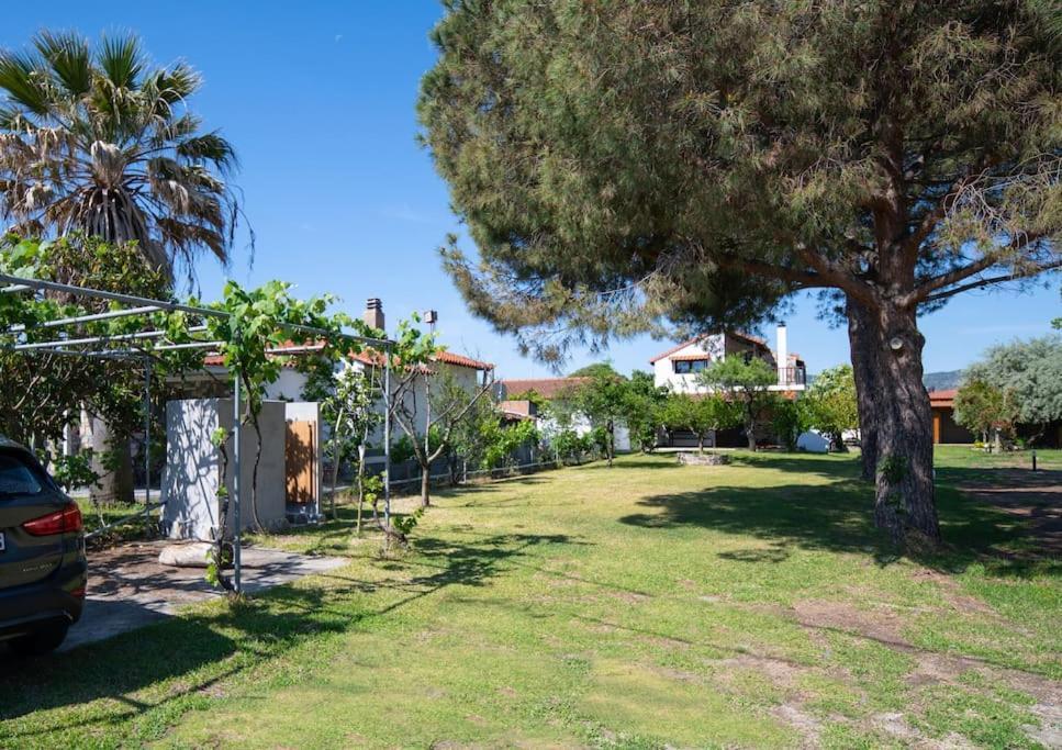 Traditionelles Appartement Athos Shadow Am Meer Paralia Sikias Exteriér fotografie