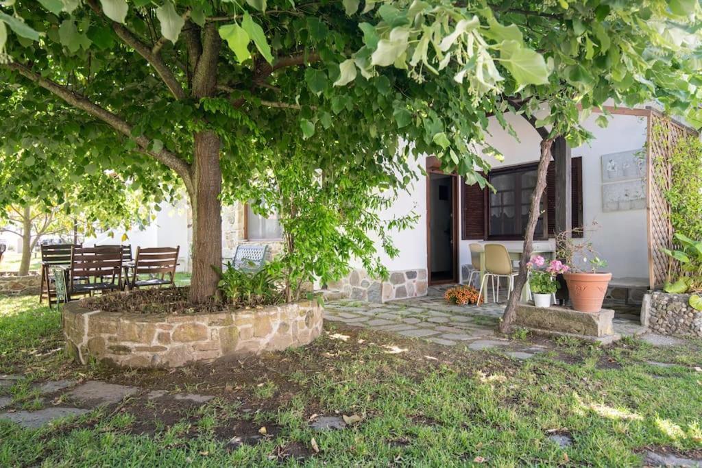 Traditionelles Appartement Athos Shadow Am Meer Paralia Sikias Exteriér fotografie