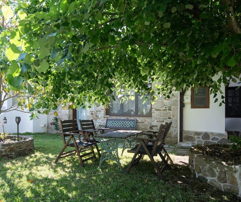 Traditionelles Appartement Athos Shadow Am Meer Paralia Sikias Exteriér fotografie