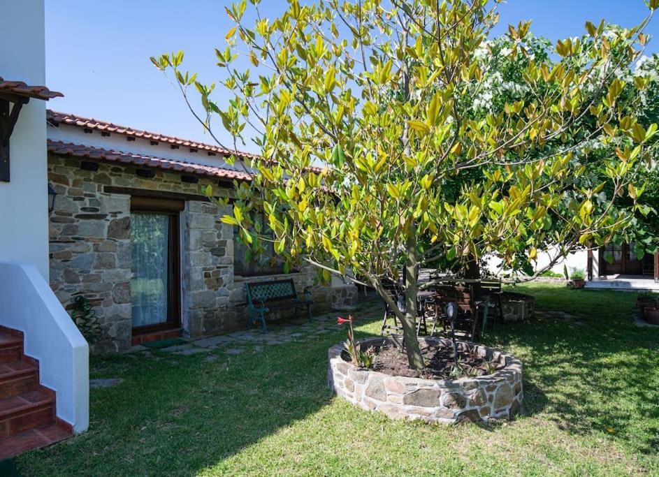 Traditionelles Appartement Athos Shadow Am Meer Paralia Sikias Exteriér fotografie