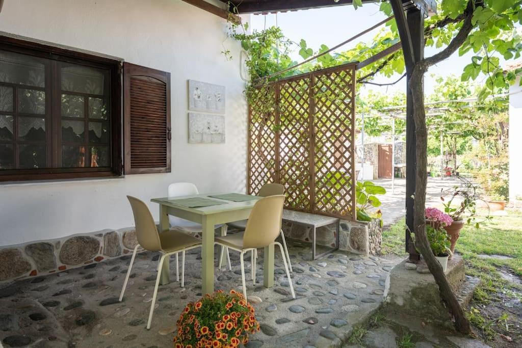 Traditionelles Appartement Athos Shadow Am Meer Paralia Sikias Exteriér fotografie