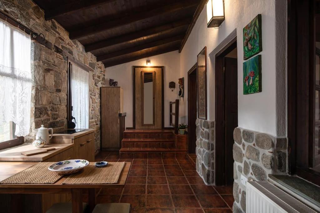 Traditionelles Appartement Athos Shadow Am Meer Paralia Sikias Exteriér fotografie